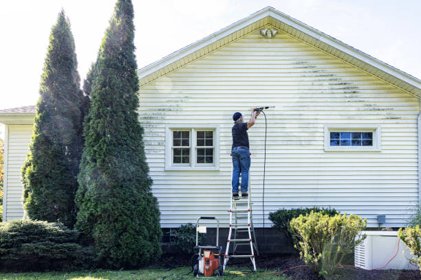 Best Sidewalk Pressure Washing  in Meadow Oaks, FL