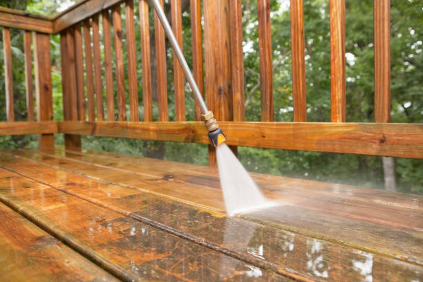 Best Fence Pressure Washing  in Meadow Oaks, FL