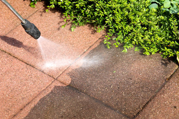 Best Affordable Power Washing  in Meadow Oaks, FL